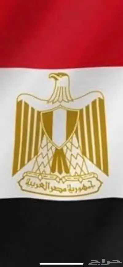 شغل سواق ترلا 0