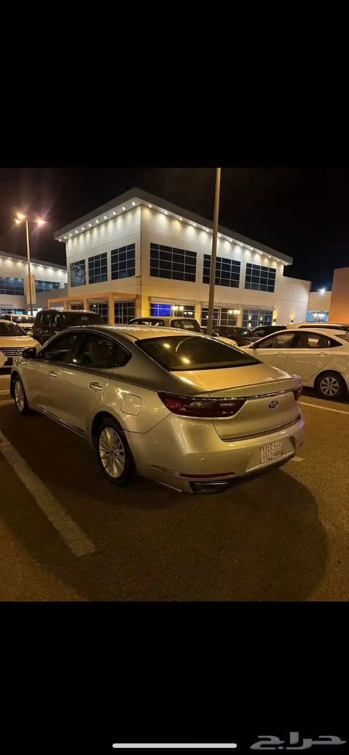 كادنزا 2018 1