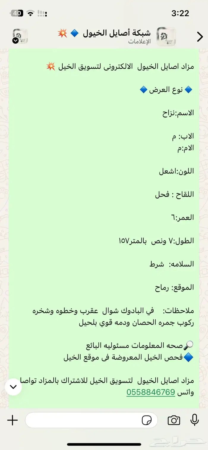 حصان شعبي سبوق وحار 3