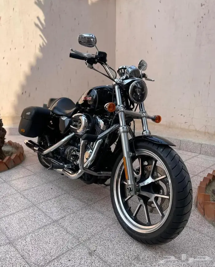 دباب هارلي  Sportster Super Low 1200T 2015 ABS وارد المطلق 2