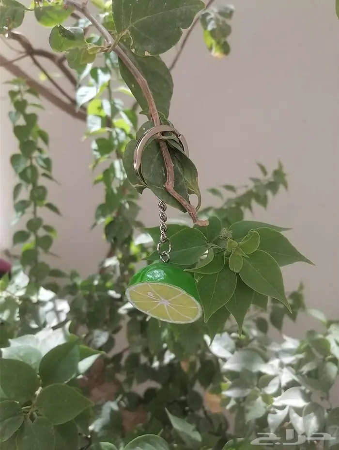 ميدالية الليمونه للبيع 0