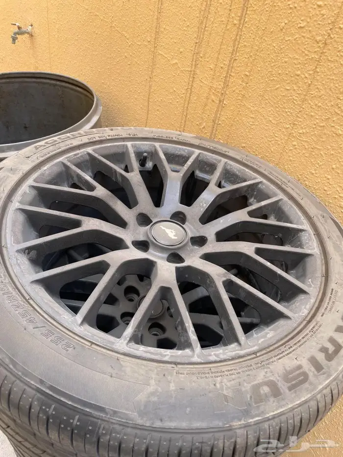 جنوط موستنج راوش 1