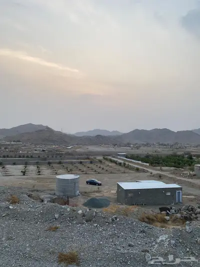 مزرعه في الجعرانة  للإيجار 0
