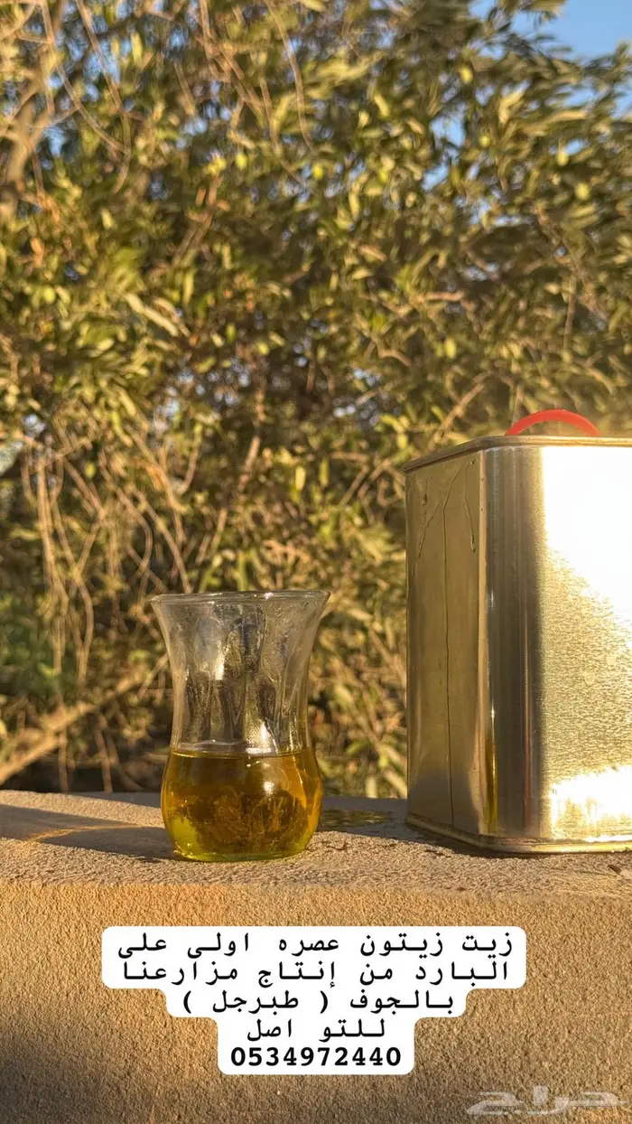 زيت زيتون الجوف طبرجل 0