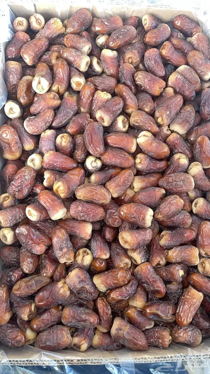 برني العيص الفاخر درجه اولى للبيع من المزرعه 1