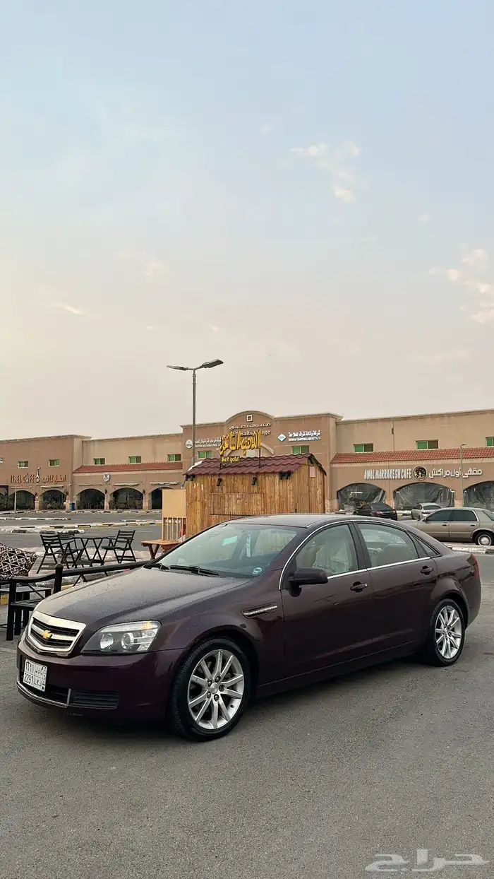 كابرس 2015 6