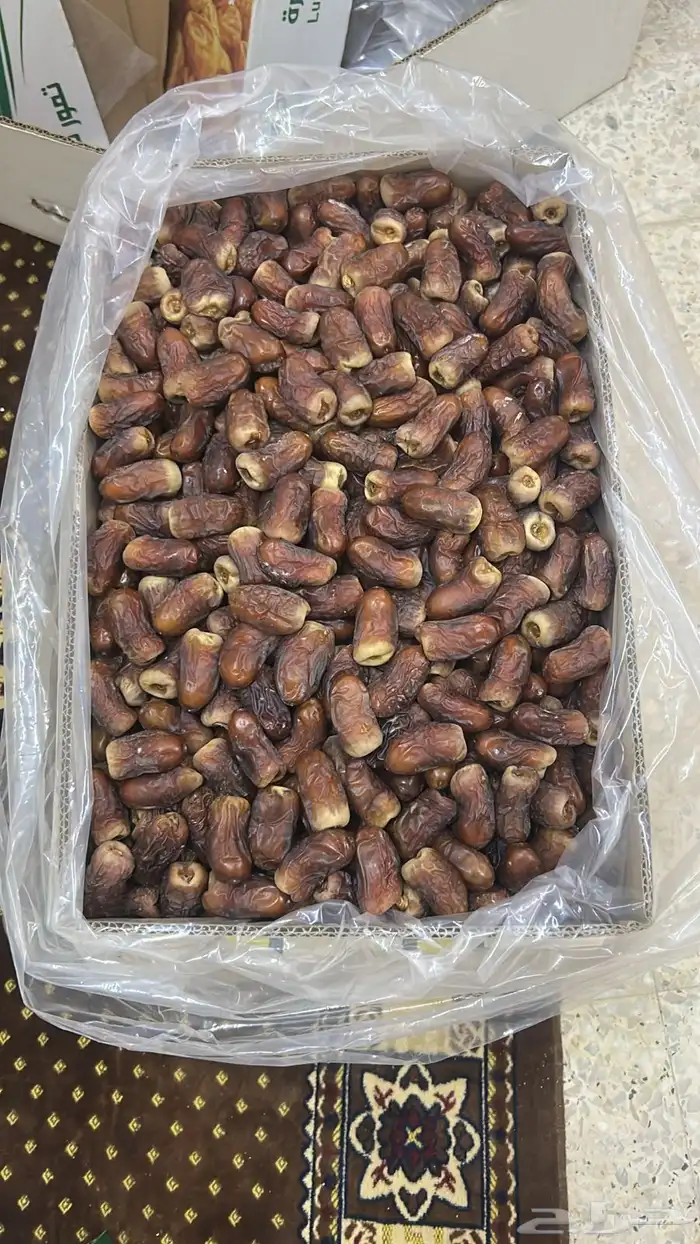 تمر برني العيص (( تم البيع)) 0