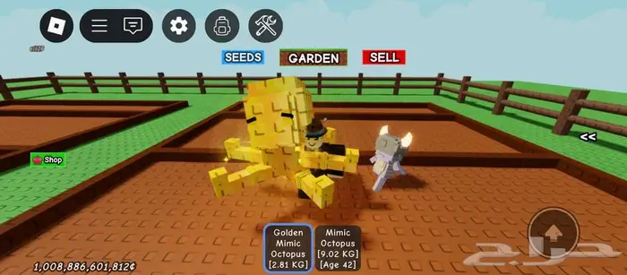 اخطبوط ماب المرزعة 1