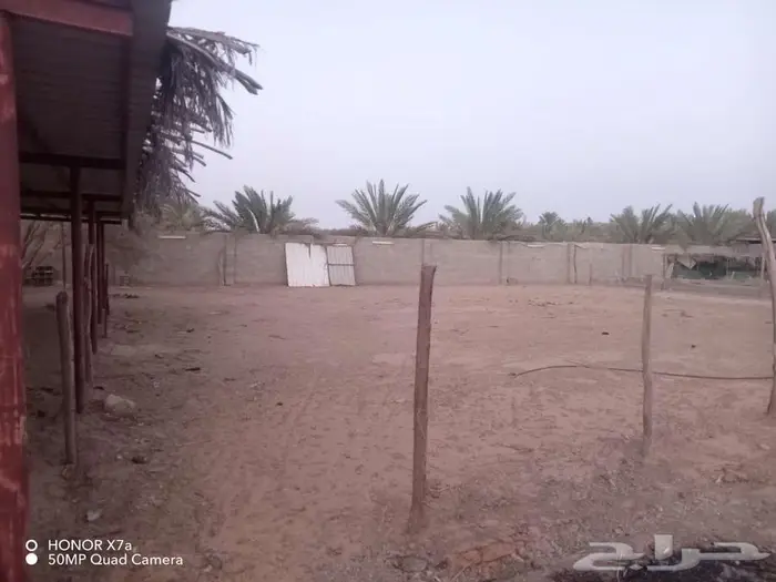 استراحة للايجار 4
