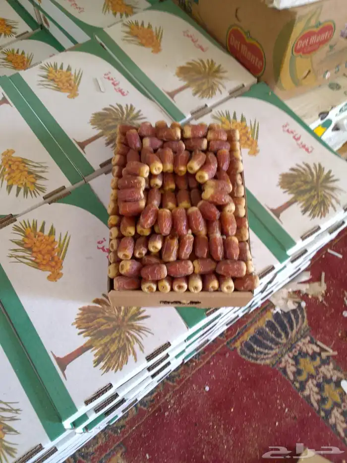 صقعي فاخر عليه سوم 130والبيع قريب 1