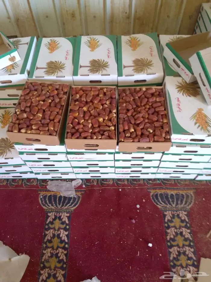 صقعي فاخر عليه سوم 130والبيع قريب 2