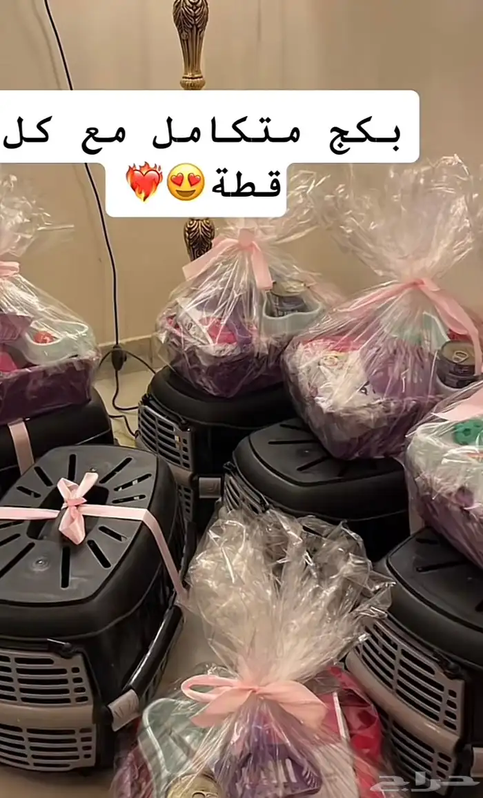 قط هاملايا مع جميع ملحقاته 3