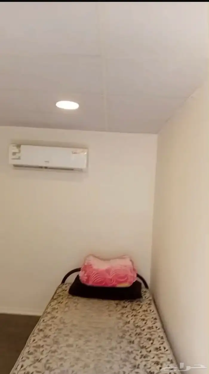 استديوا للعزاب 1700 شهرى حى غرناطه 0