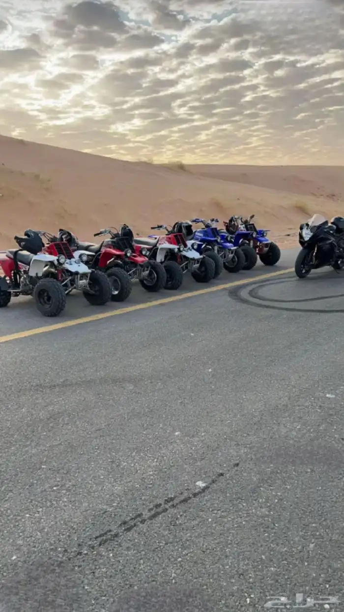 مطلوب بانشي 0