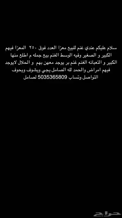 غنم معزا طيبات وغنم بر 0