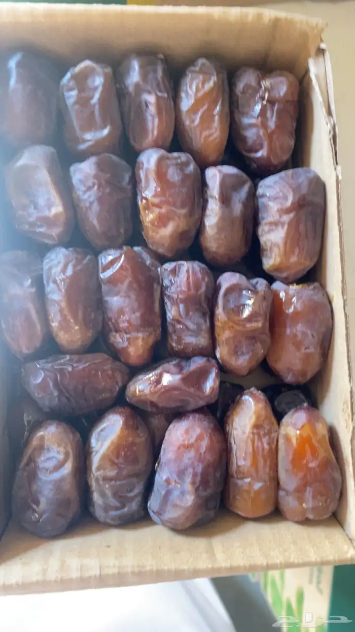 ونانه 2