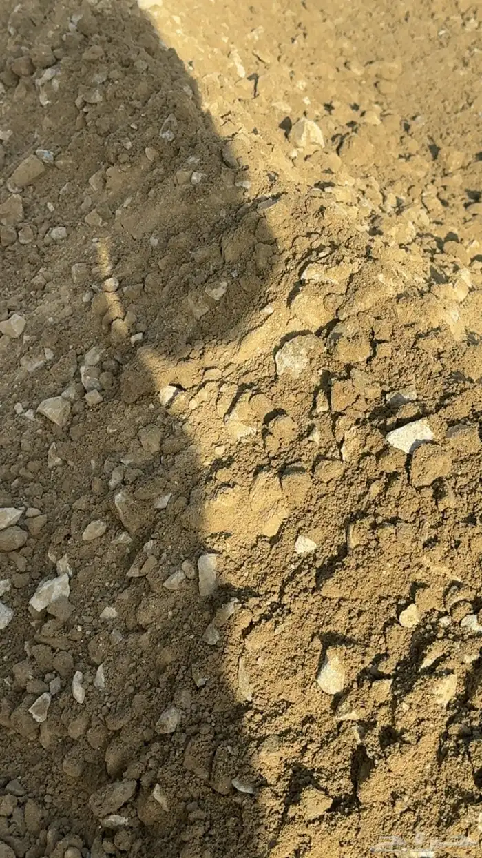 بيسكووس اجرجيت 1