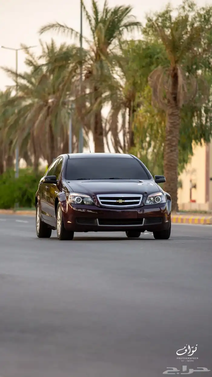كابرس عنابي 2013 52