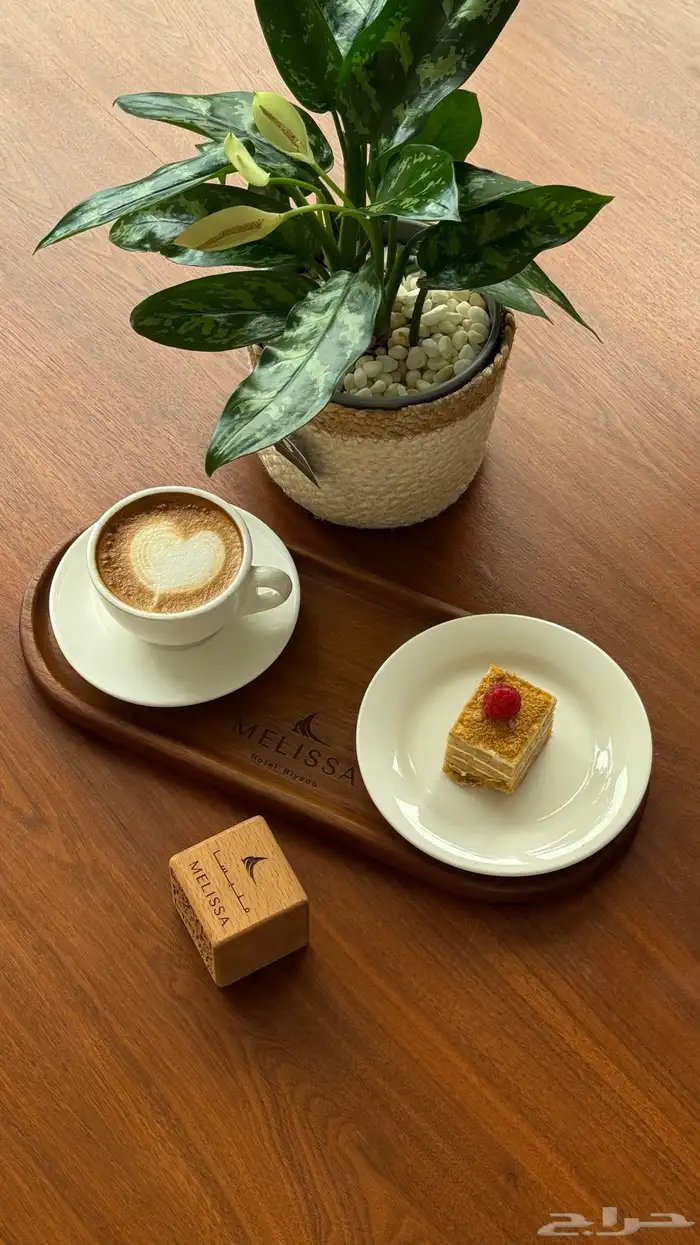 تصوير جميع المناسبات والحفلات والمنتجات 18