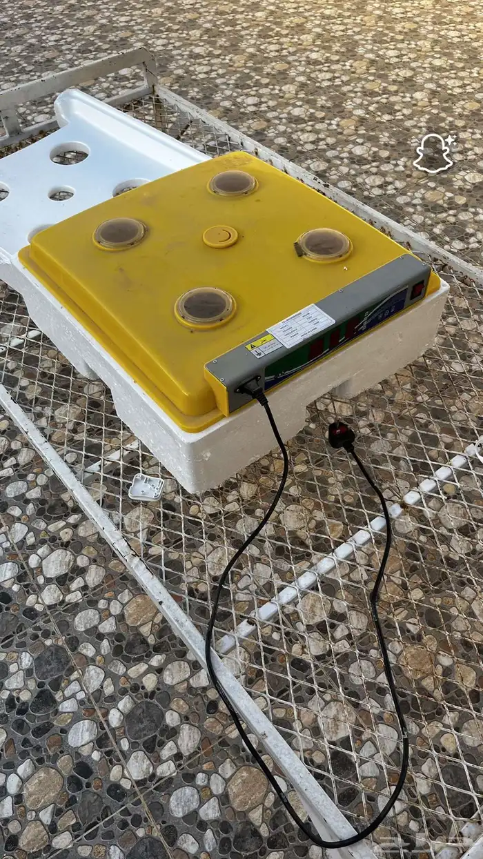 فقاسة للبيع 0