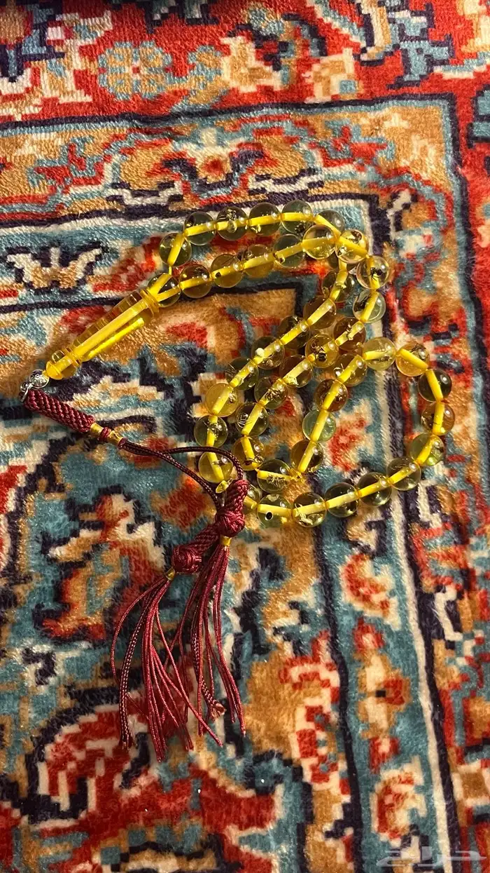 مسابح جوده واسعار ماهي في المتاجر واقل 8