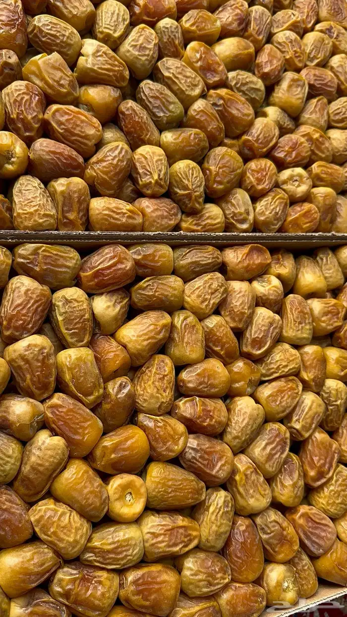 تمر سكري مفتل اصفر العدد محدود والسعر رمزي 0