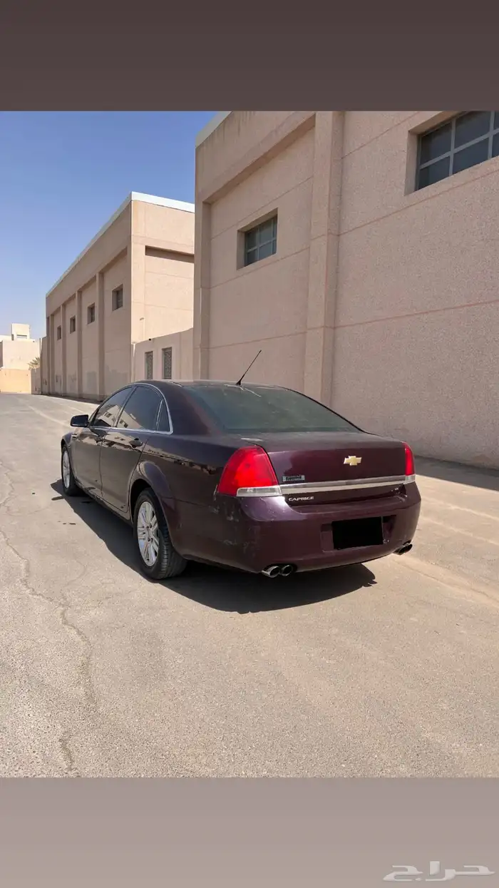 كابرس 13 عنابي 2