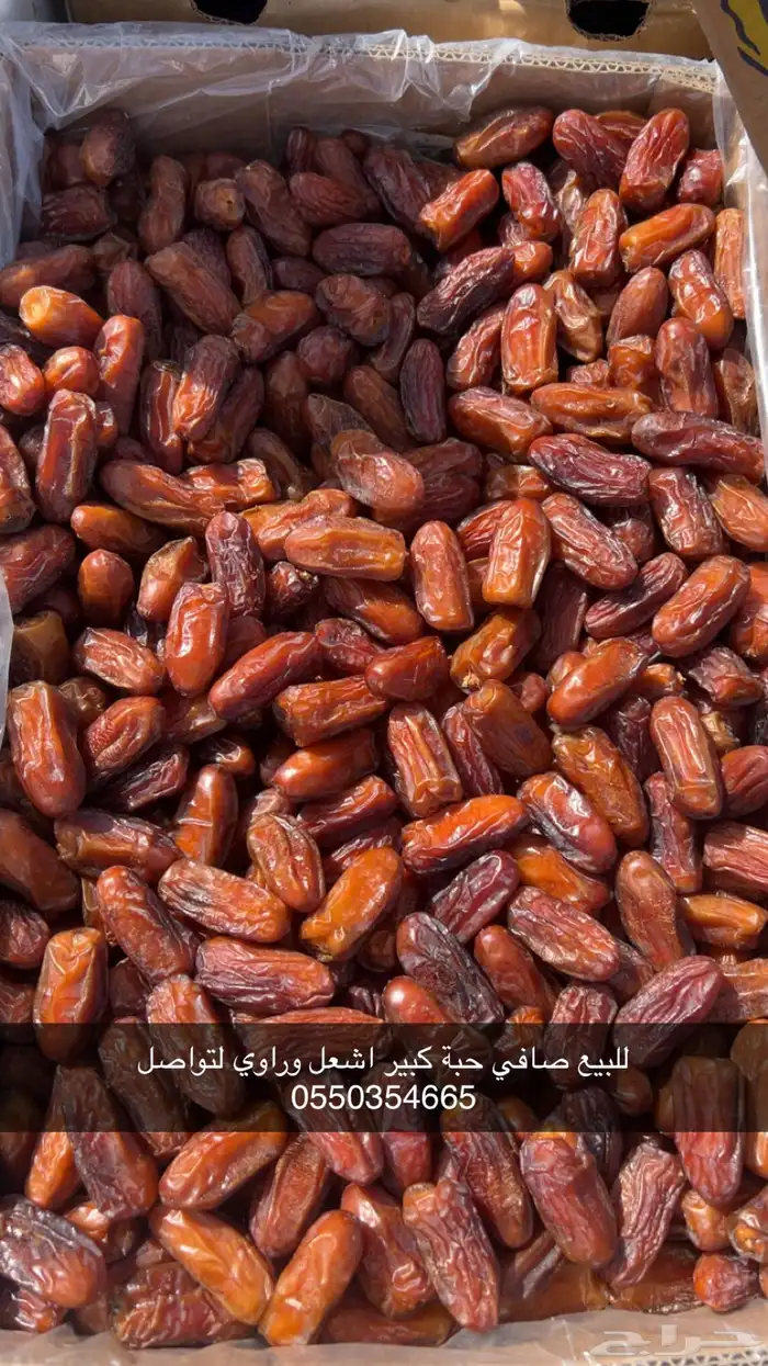 تمر صفري 0