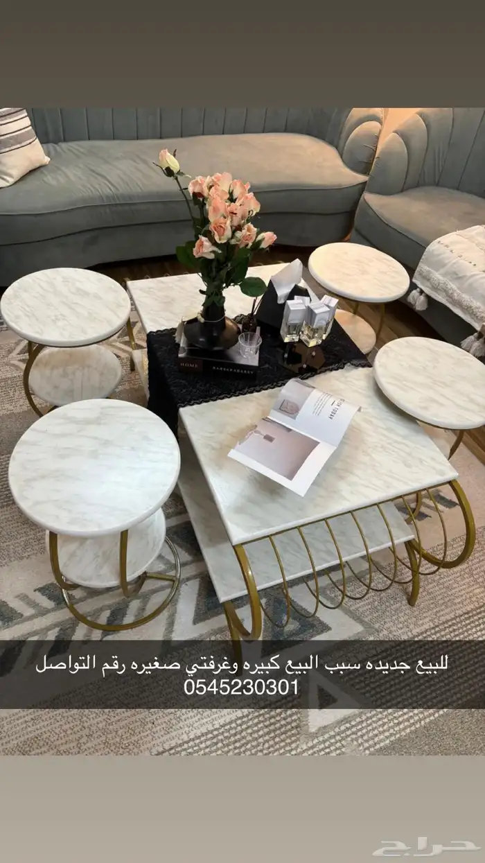 الضاحيه 1