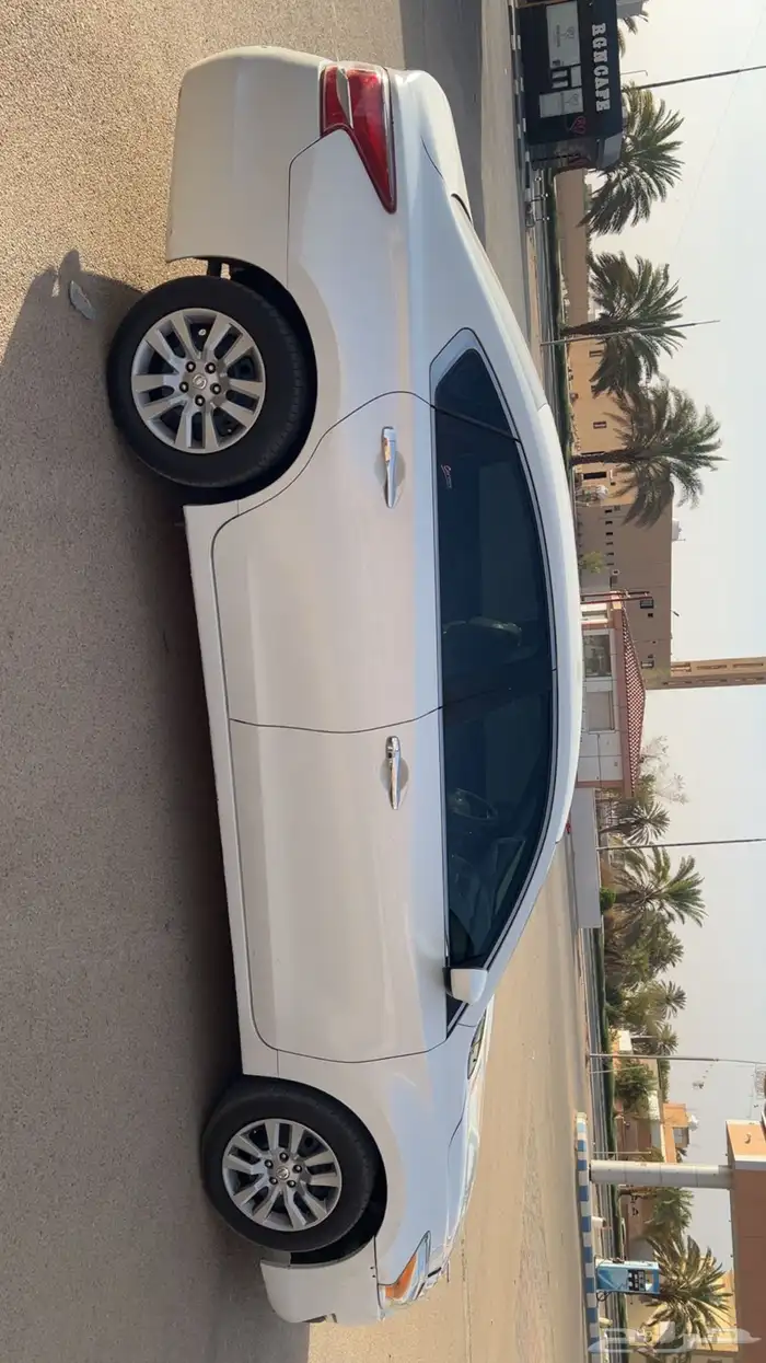 التيما 2013 5