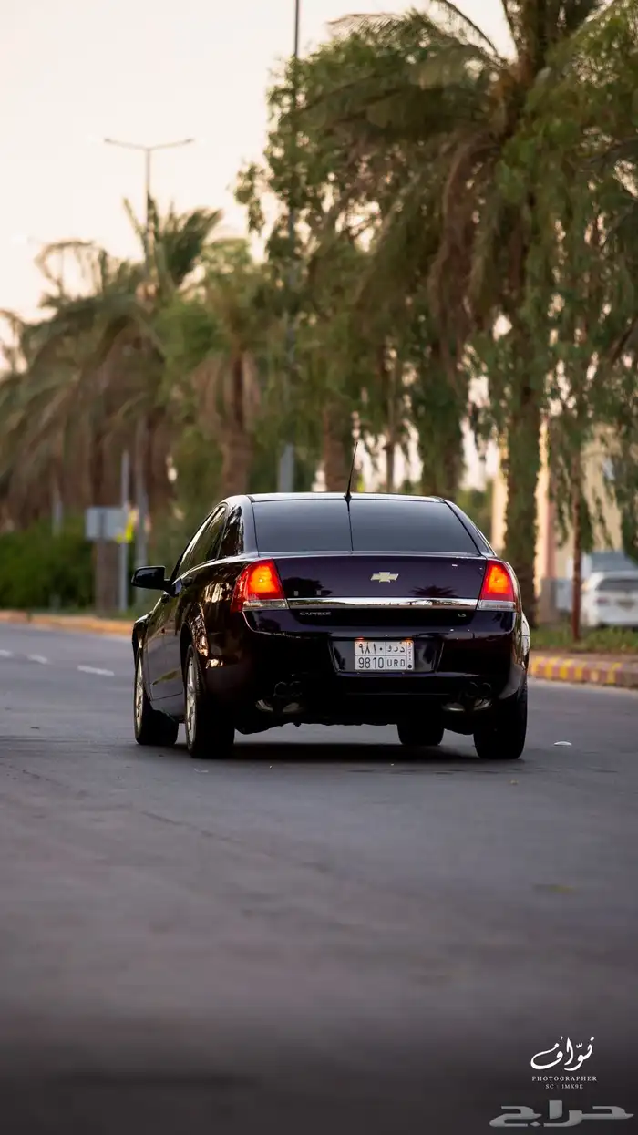 كابرس عنابي 2013 53