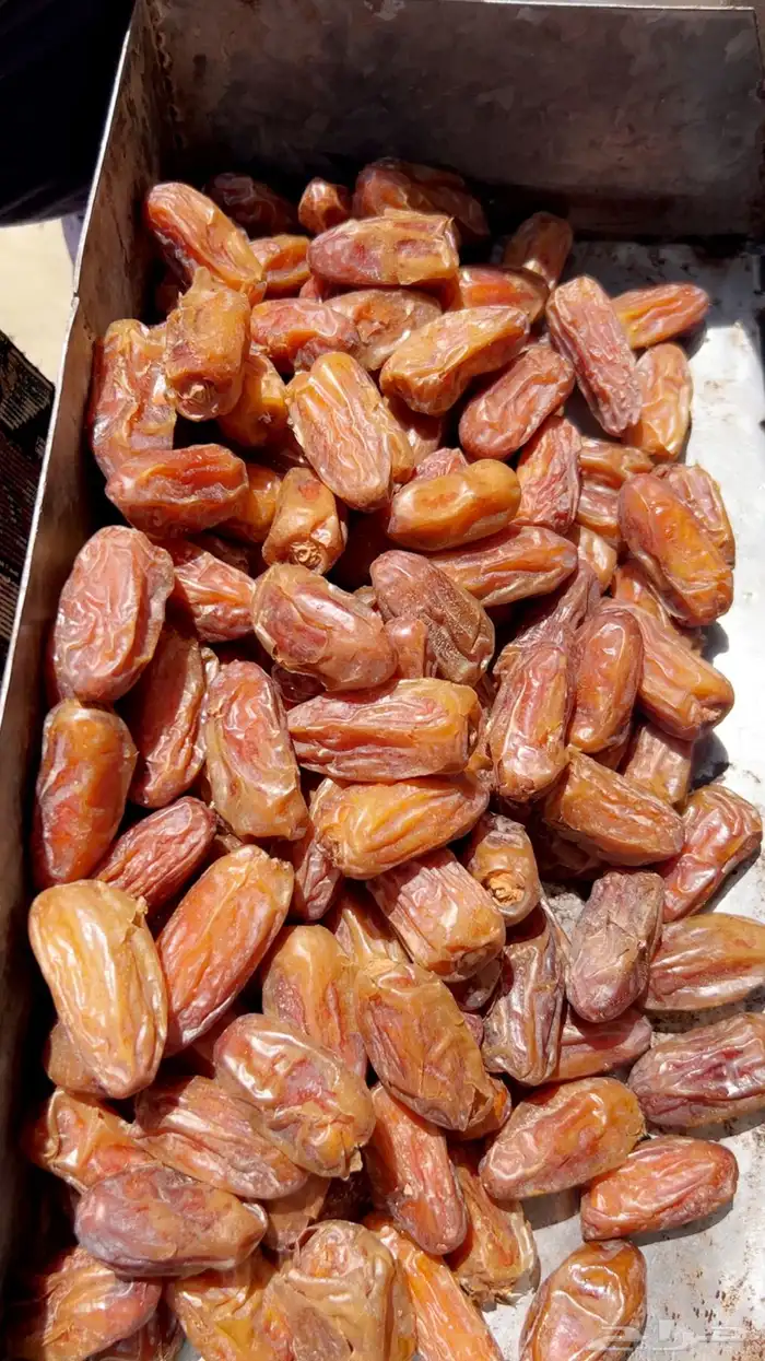 تمر صفري مكبوس تنك ارباع حبه كبيره جامبو وحبه وسط ومشروط 1