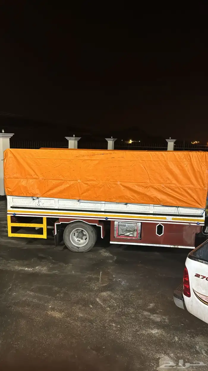 دينا شبك للنقل 0