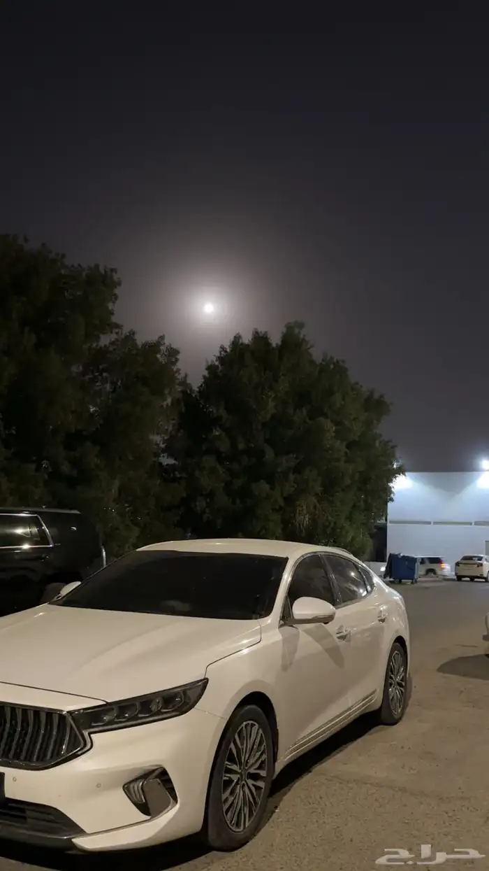 كادينزا 2021 13