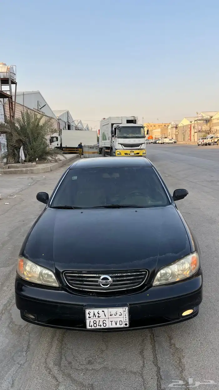 مكسيما 2006 3