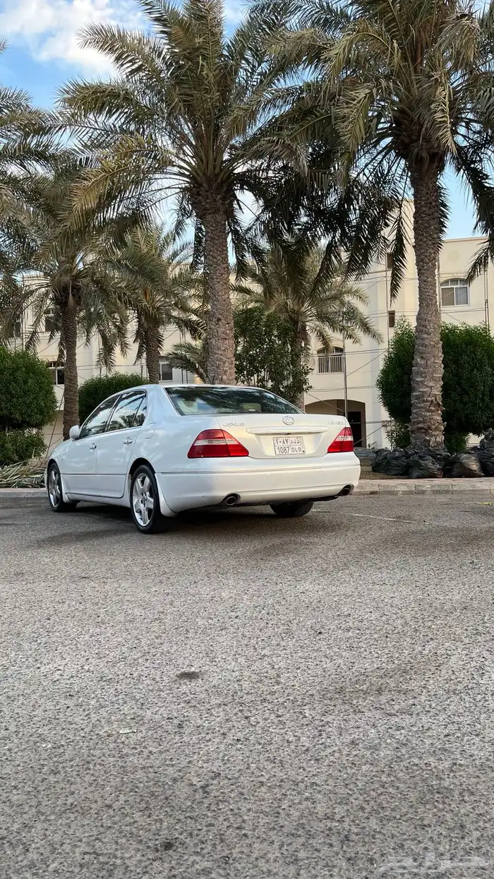 الربوة 7