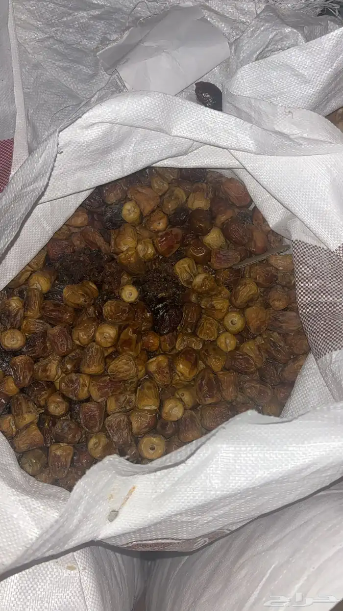خبز لحلال وتمر للحلال 0