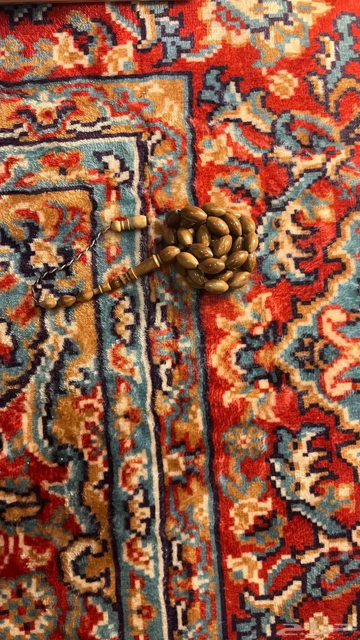 مسابح جوده واسعار ماهي في المتاجر واقل 13