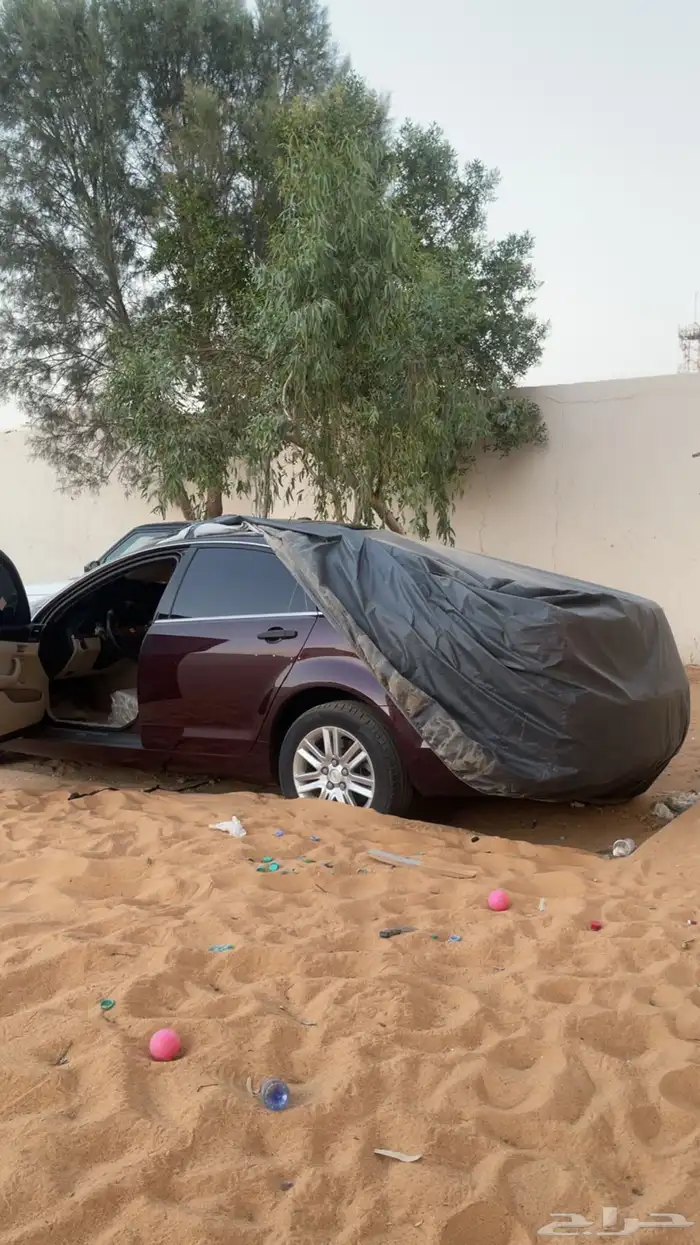 كابرس عنابي 2013 59