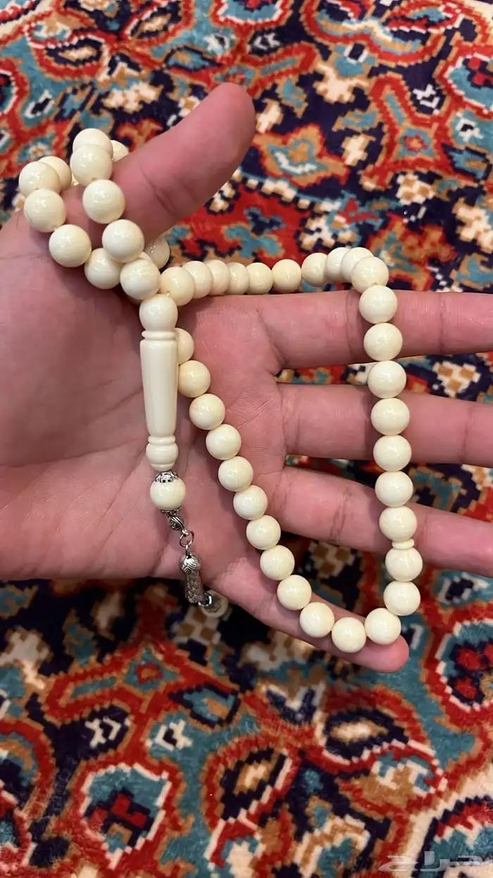 مسابح جوده واسعار ماهي في المتاجر واقل 3