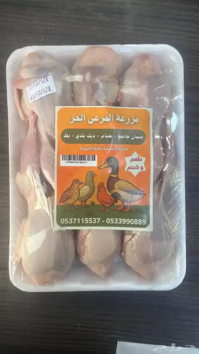 حمام فرنسي index