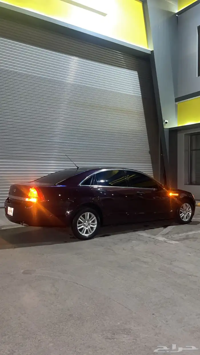 كابرس عنابي 2013 38
