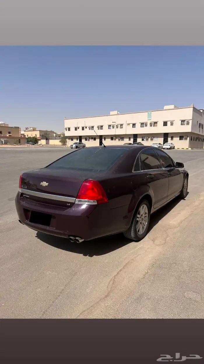كابرس 13 عنابي 1