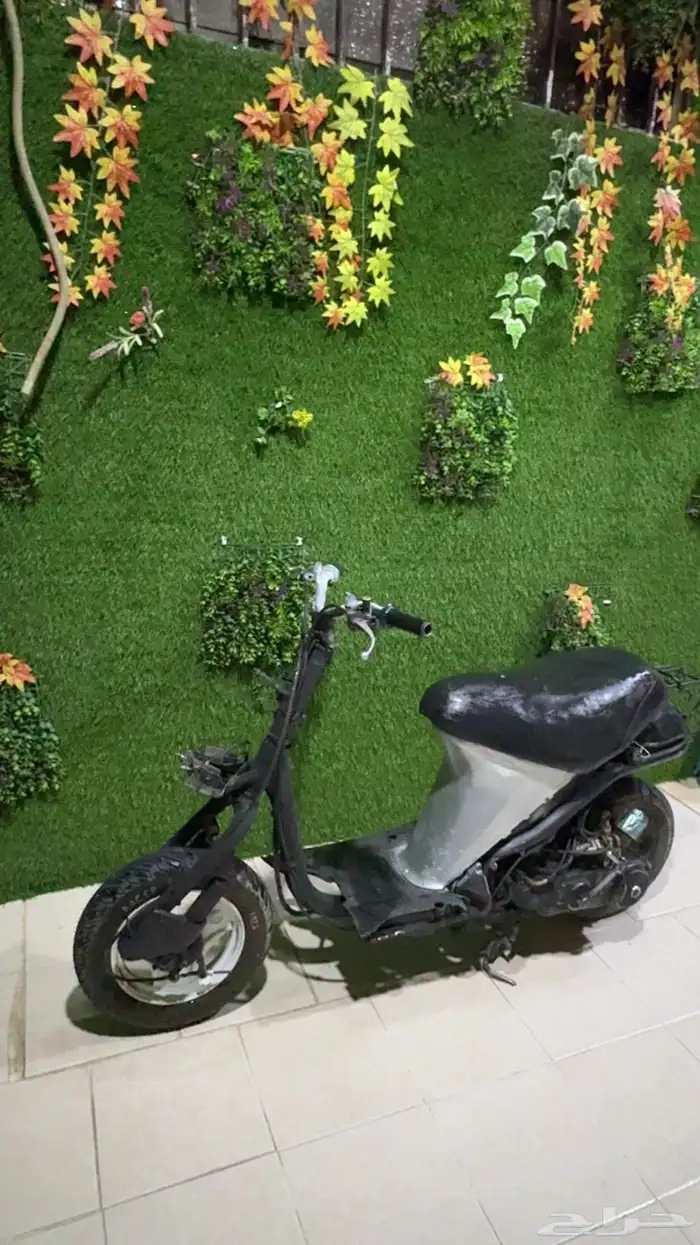 دباب بطه 60 2