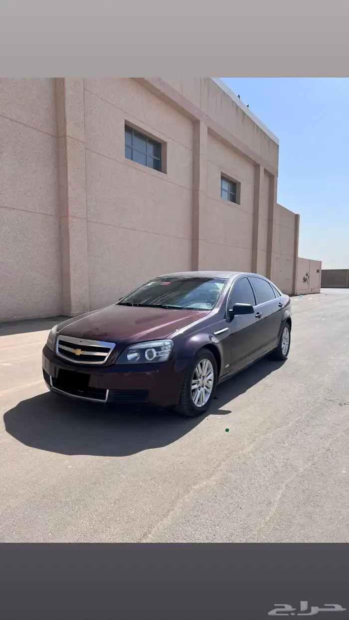 كابرس 13 عنابي 0