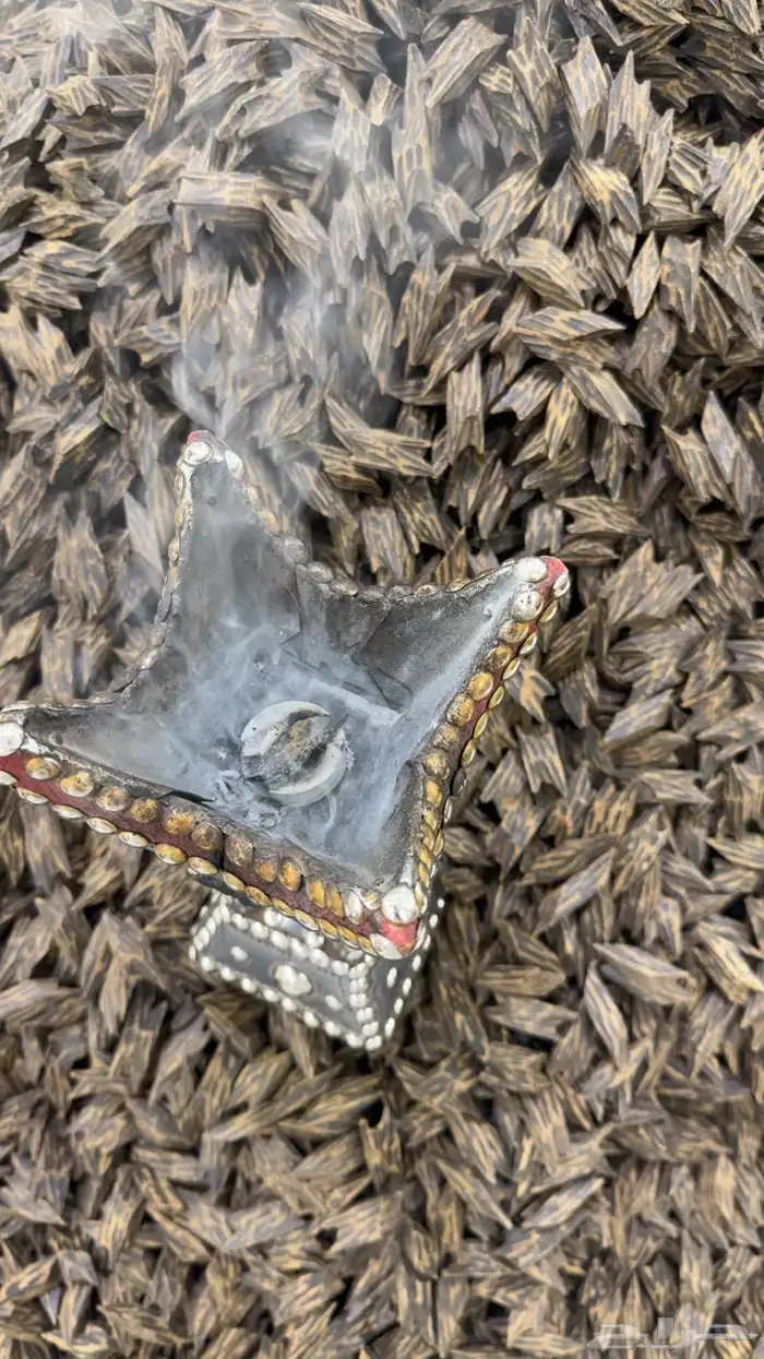عود تايقر كمبودي 0