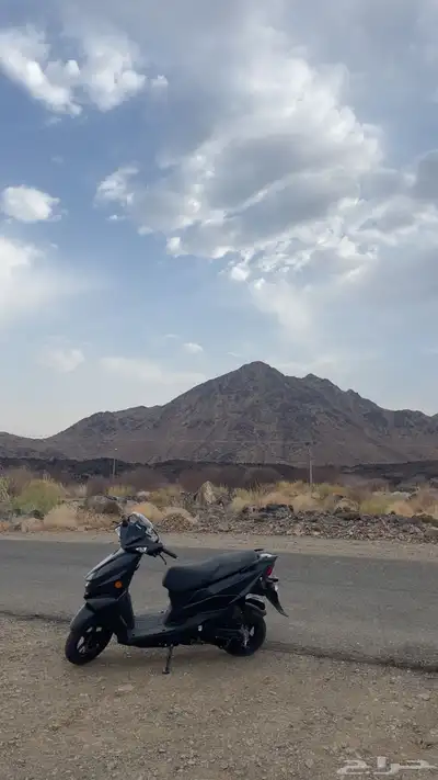 دباب عجيب سزوكي 2024 0
