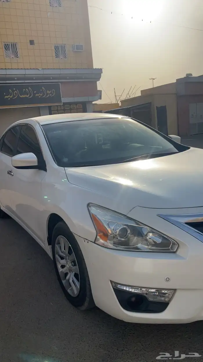 التيما 2013 4