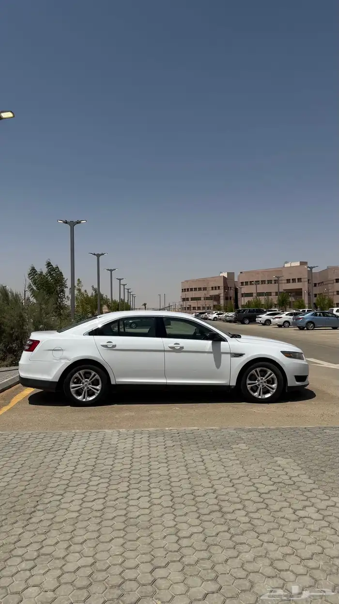 تورس 2015 8