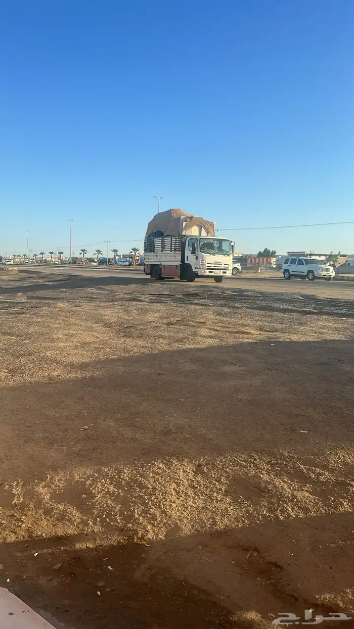 دينه اربع ونص 0